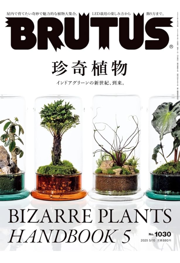 別冊Lightning 207 グリーンライフ (エイムック 4374 別冊Lightning